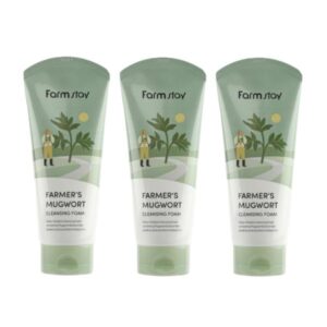 FARMSTAY FARMERS MUGWORT CLEANSING FOAM